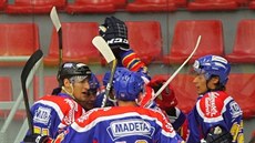 �eskobud�jovi�tí hokejisté se radují z gólu do sít� Sparty.
