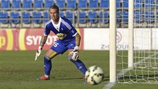 Branká� Bohemians Milan �venger