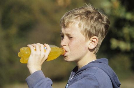 Píjem jednoduchých cukr ze slazených limonád a dus v dob dospívání vede ke zvýenému potu zánt v hipokampu, co je mozkové centrum, které ovládá uení a pam, tvrdí americký vdec.