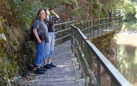 Akoliv se na Riegrov stezce sesul svah, lesníci tento oblíbený cíl turist neuzaveli.