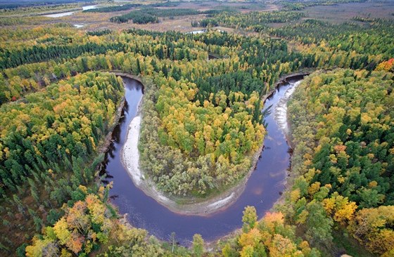 Sibiská tajga je velká. Ilustraní foto