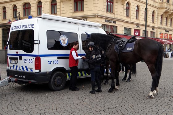 Mstská policie (ilustraní foto)