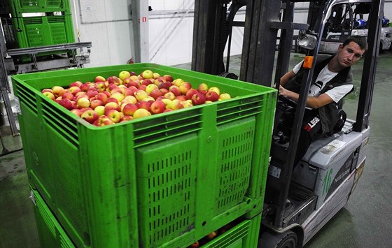 Bedny s jablky se chystají na vývoz ve firm Rajpol v polském mst Grojec.