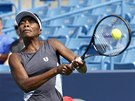 Venus Williamsová na turnaji v Cincinnati