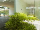 Pízemí a horní podlaí propojuje prosklený tubus japonské zahrady. 