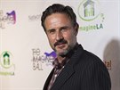 David Arquette (Los Angeles, 6. srpna 2014)