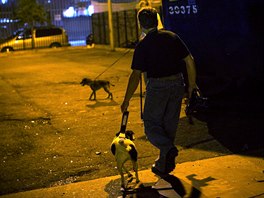 Bill leads his dog Paco, a Feist Terrier, though a vacant lot near trash...