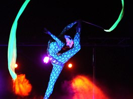 Akrobatické představení ve spojení se světelnou show působilo dokonalým dojmem.