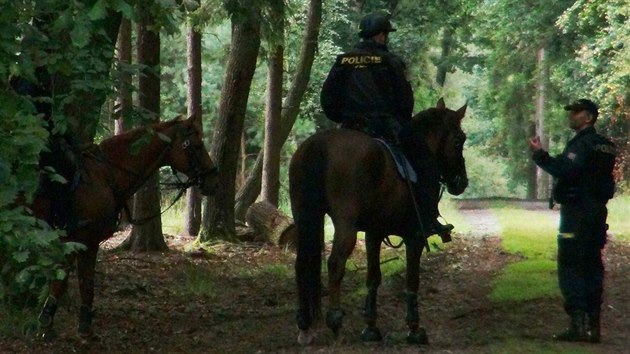 Stovky policist opt proesvaly Klnovick les. Do akce byli nasazeni psovodi, policist na konch i vrtulnk s termoviz (15.8.2014)