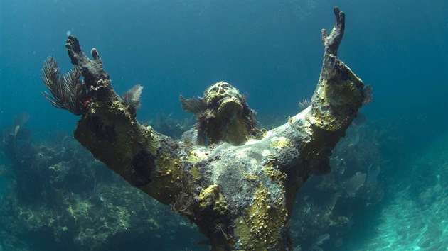 Korály porostlá socha Ježíše Krista na Floridě