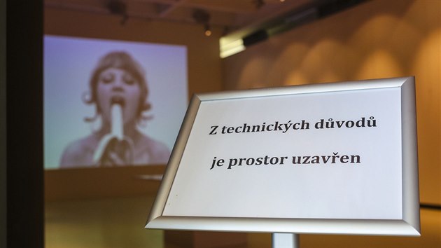 ZAVŘENO. Po třech měsících předčasně skončila výstava polské výtvarnice Natalie LL. Krajští radní najednou zjistili, že je pornografická.