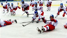 Základ týmu na hokejovém MS junior budou tvoit hrái z úspné reprezentace do 18 let.