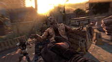 Dying Light