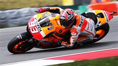 Marc Márquez na trati Velké ceny Brna silniních motocykl ve tíd MotoGP