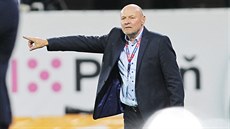 Miroslav Koubek, trenér Viktorie Plzeň