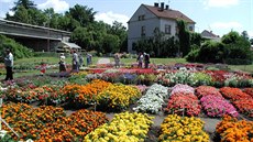 Okrasná pole v Jarom��i.