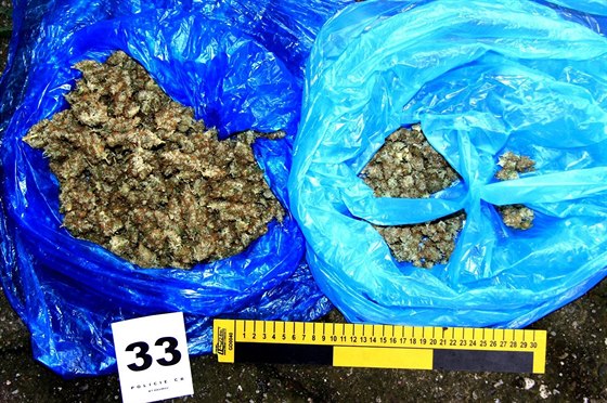 Policie zabavila u pstitele marihuany z Ostravska u nasuenou drogu.