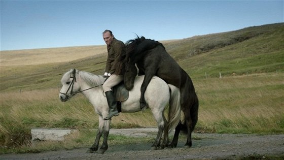 Z filmu O koních a lidech