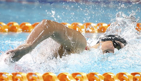 Americká plavkyn Katie Ledecká závodí na Panpacifickém ampionátu v