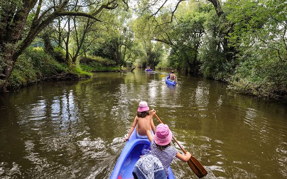 Divoká Orlice pod Kostelcem nad Orlicí