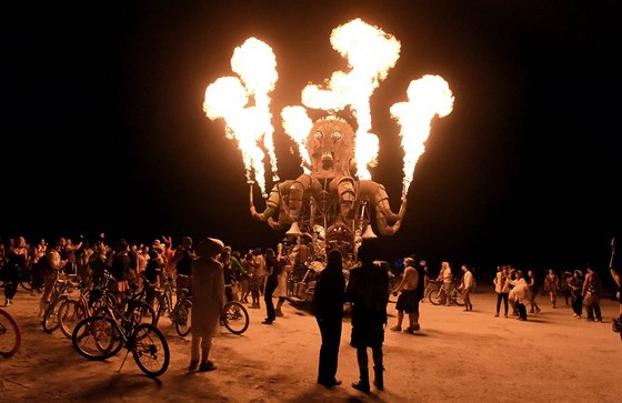 Podle organizátor je Burning Man nejvtím festivalem hudby a umní v Severní...
