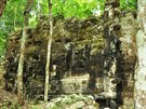 Objevené mayské msto Lagunita je tvoeno mnostvím obrovských palác a...