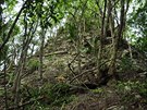 Objevit starodávné mayské msto Lagunita v pralese na poloostrov Yucatán...