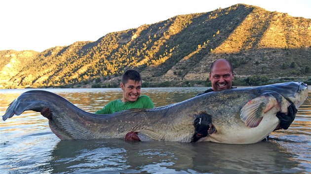 Sumce dlouhho 268 centimetr a vcho 110 kilogram chytil sedmnctilet Martin Krupika z st nad Labem letos o przdninch na panlsk ece Ebro.