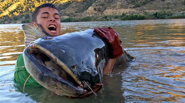 Sumce dlouhho 268 centimetr a vcho 110 kilogram chytil sedmnctilet Martin Krupika z st nad Labem letos o przdninch na panlsk ece Ebro.