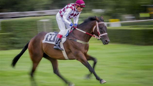 SP̊N KVALIFIKACE. Nestrnouc okej Josef Va me v jnu pidat devt triumf ve Velk pardubick, protoe se do nejslavnjho eskho dostihu opt kvalifikoval.