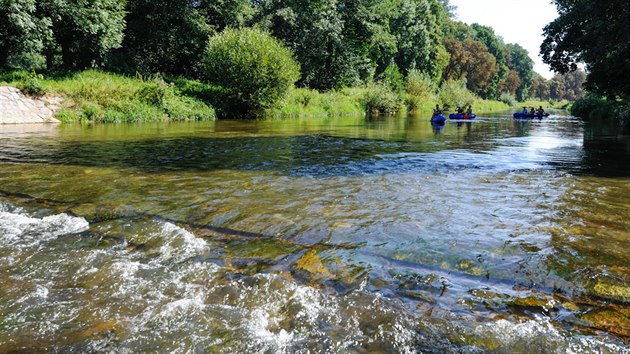 Divok Orlice pod Kostelcem nad Orlic