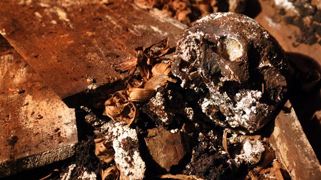 Krypta chebského kostela sv. Mikuláše skrývá ostatky více než 200 lidí.