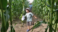 V kukuiném bluditi v Rosei se baví zejména dti.