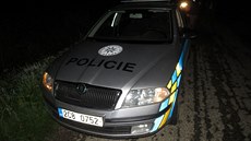 Do policejního vozu zboku naboural opilý �idi�.