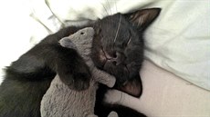 Takové aportování p�kn� unaví.