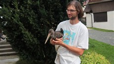 Mlád� �ápa �erného z�stalo po nárazu do drát� elektrického vedení nepohyblivé...