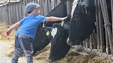 Den pro ve�ejnost na farm� Brodinových v Úho�ilce na Havlí�kobrodsku.