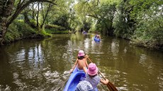 Divoká Orlice pod Kostelcem nad Orlicí