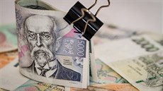 V p�ípad� po�kození �ivlem nemusí poji��ovny zohlednit provedené renovace, které nejsou uvedeny v pojistné smlouv�. Ilustra�ní snímek