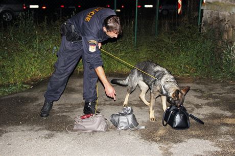 V noci na sobotu provedli policist razii v diskotce Ibiza v Tebi. Zamili...