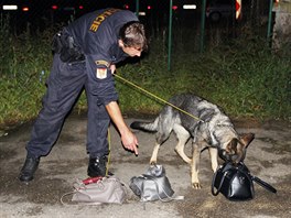 V noci na sobotu provedli policist razii v diskotce Ibiza v Tebi. Zamili...