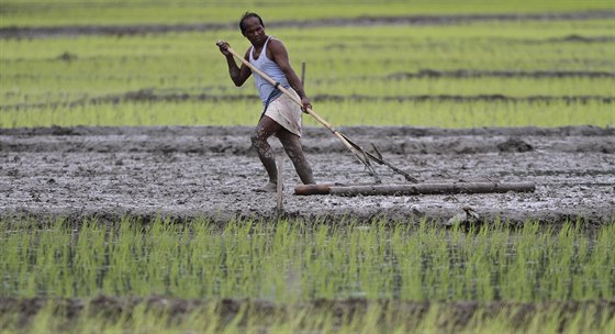 Zdrcení farmái z rozvojových zemí, kteí nedokáou splácet úvr, asto spolykají pesticidy. Ilustraní foto