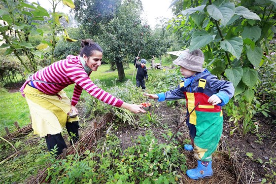 Děti se ve školce učí zahradničit. Pěstují rajčata, jahody nebo hrášek (3. 9.