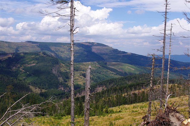 Nejvy��í hora Slezských Beskyd: Skrzyczne (1257 m)