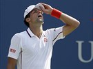 Srbskému tenistovi Novaku Djokoviovi se semifinále US Open nepovedlo.