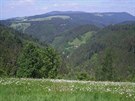 lenitá krajina západního Schwarzwaldu, v pozadí vrch Kandel.