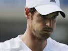 SOUSTEDNÍ. Andy Murray se koncentruje bhem osmifinále US Open s...