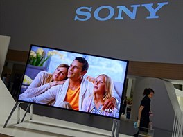 Sony se profiluje jako výrobce elektroniky vyí a nejvyí tídy. Expozici tak...