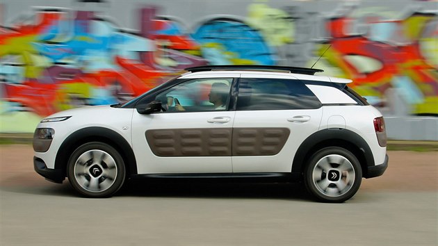 Citron C4 Cactus