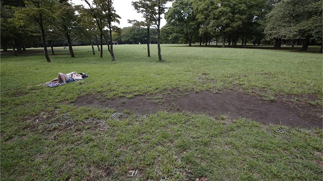 Horekou dengue se nakazilo u nejmn 35 Japonc. Velkou st z nich tpl nakaen komr v tokijskm parku Jjogi. Nemoc se v zemi ila naposledy v roce 1945 (2. z 2014)